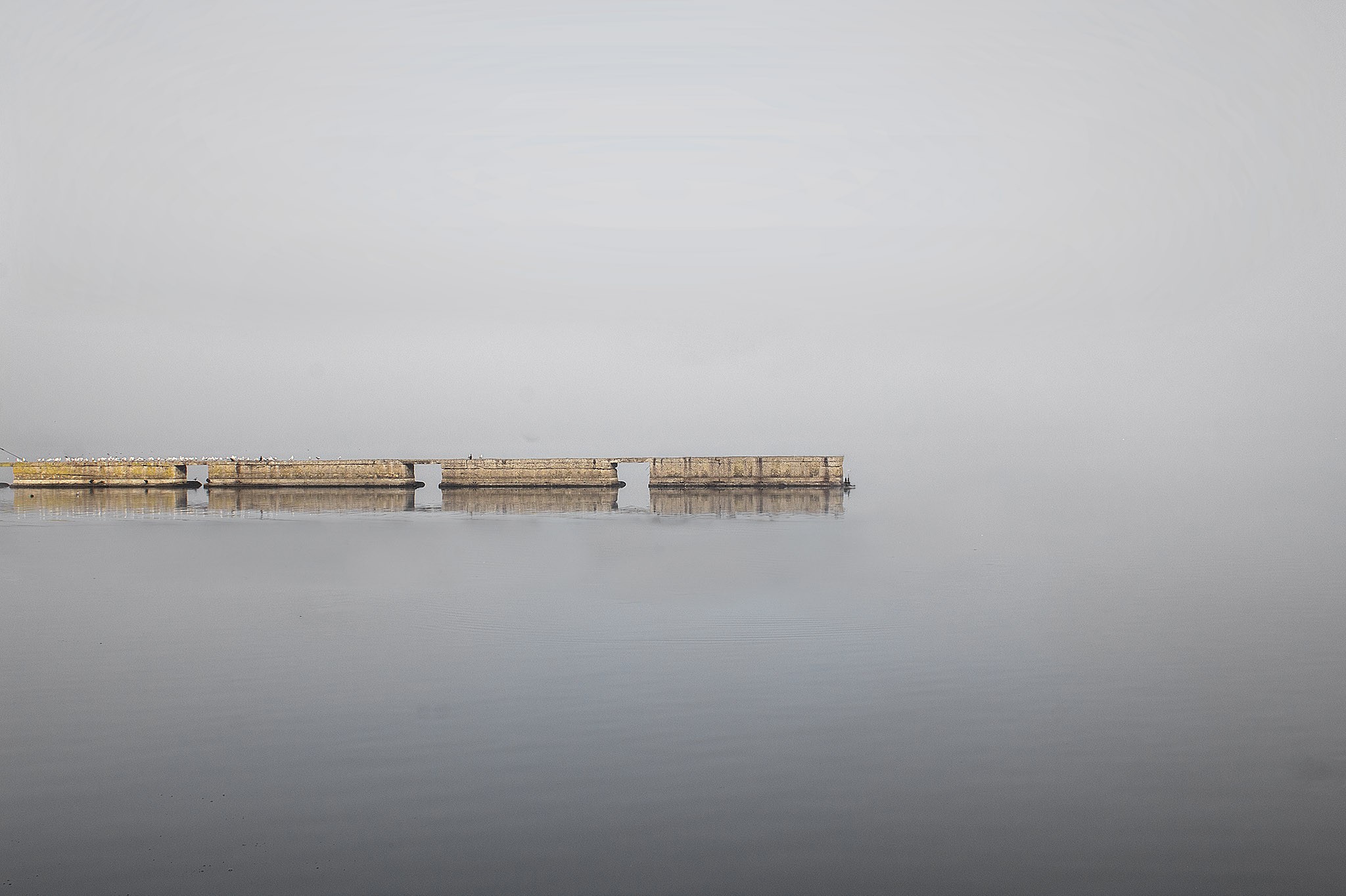 Lake photography